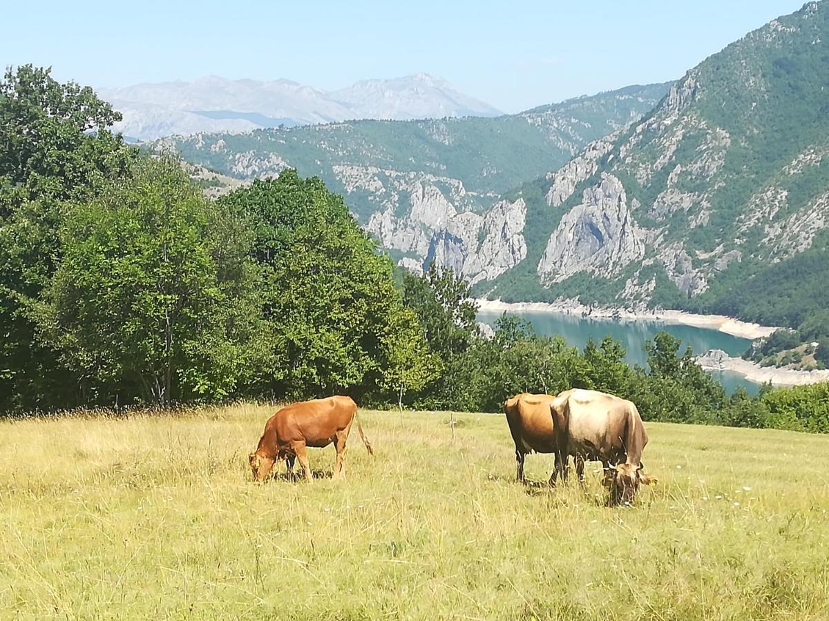 Vignjista Hotell Plužine Eksteriør bilde